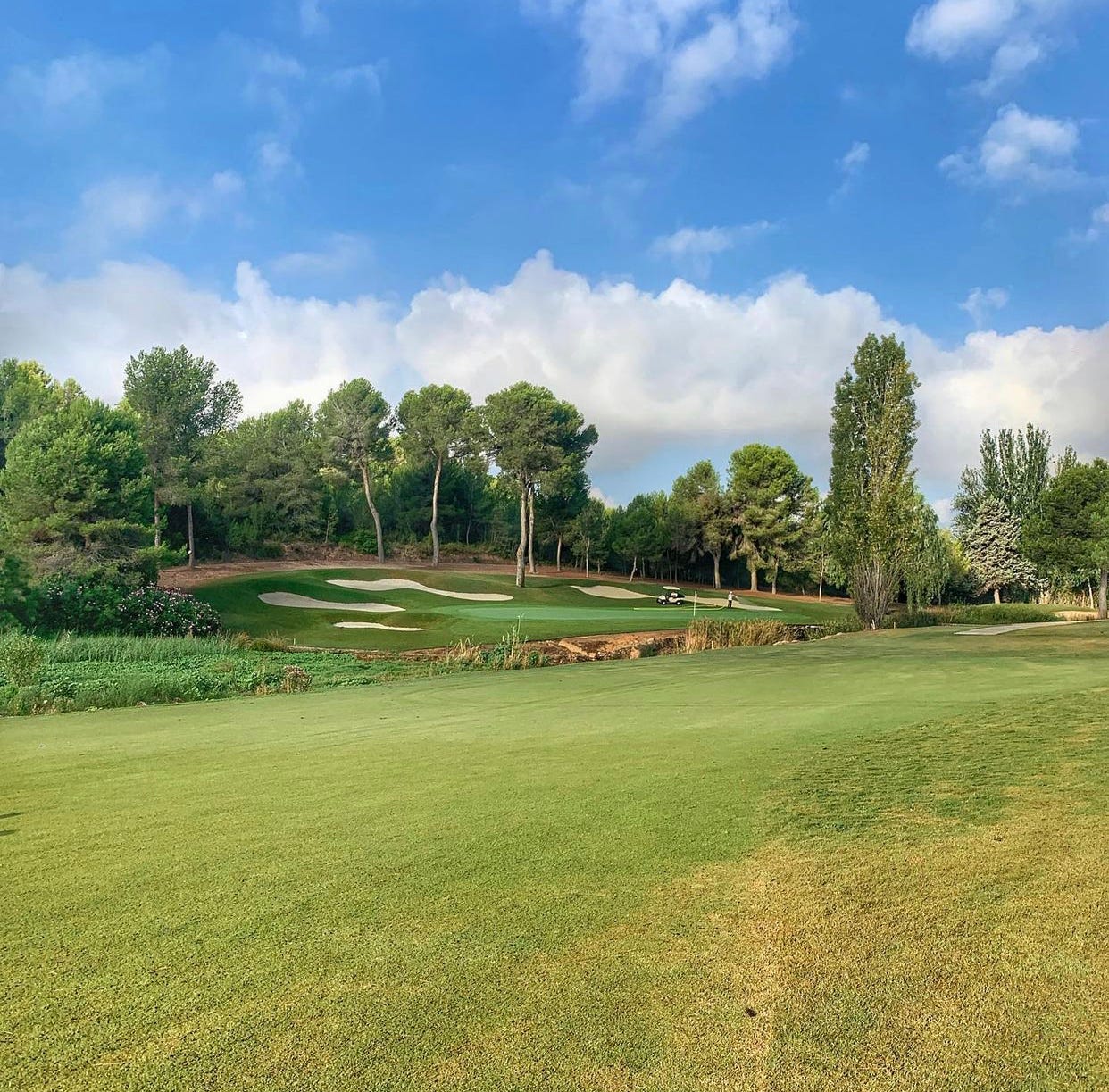REVIEW CLUB DE GOLF EL BOSQUE by Abel Jimenez