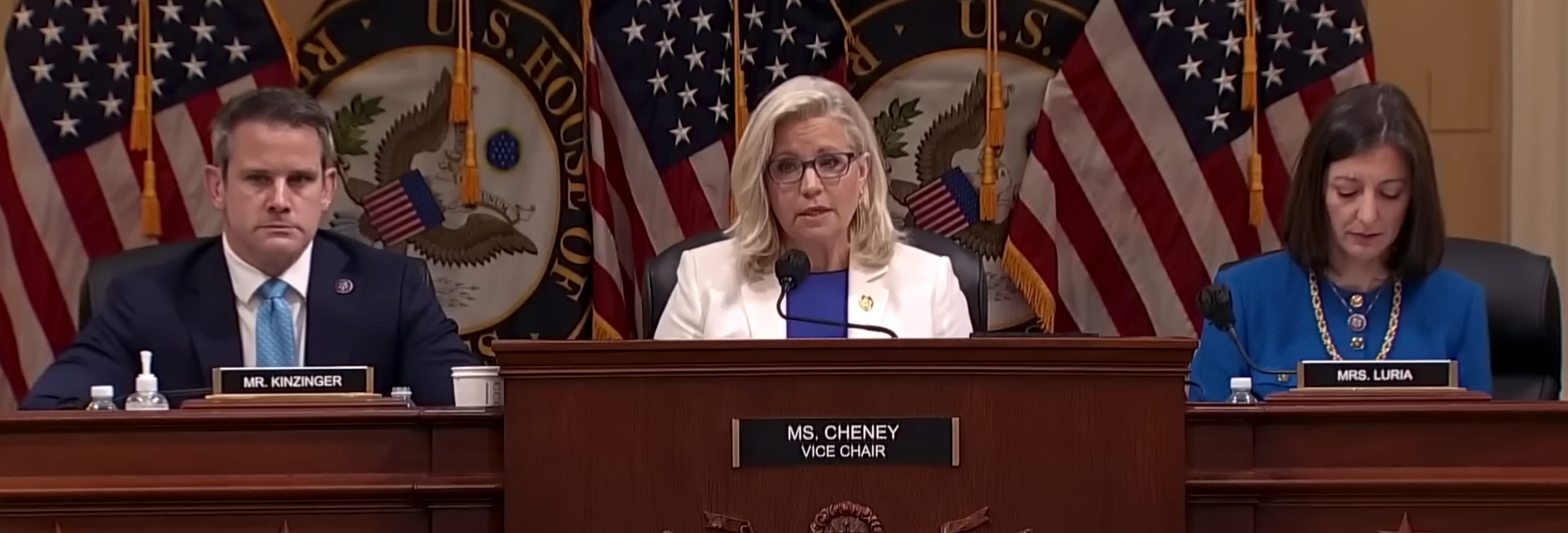 Liz Cheney A sacrificial lamb for the Dems, and the oldorder GOP.