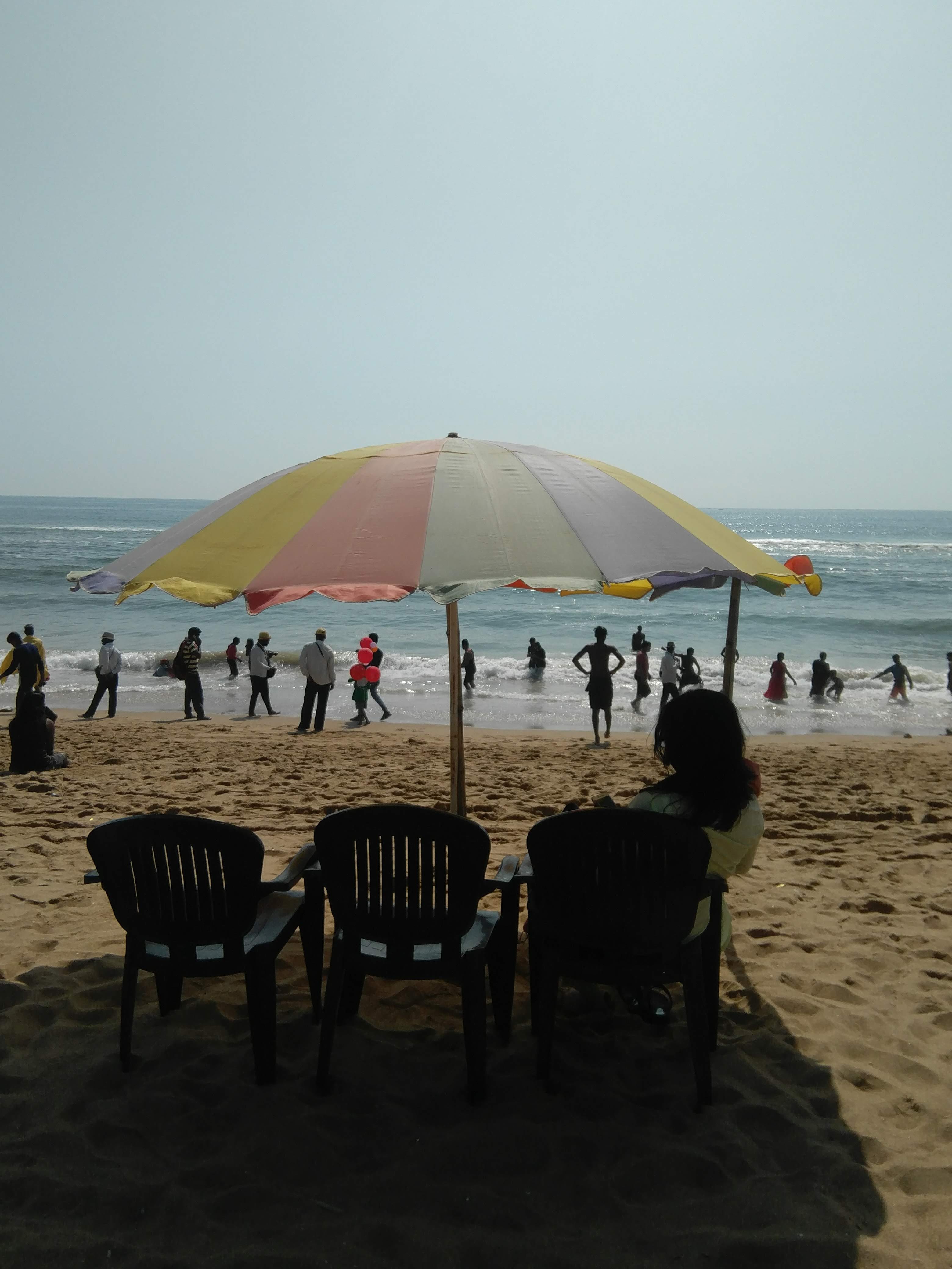 Close-Reading - by Bithika Halder - Path Between Trees