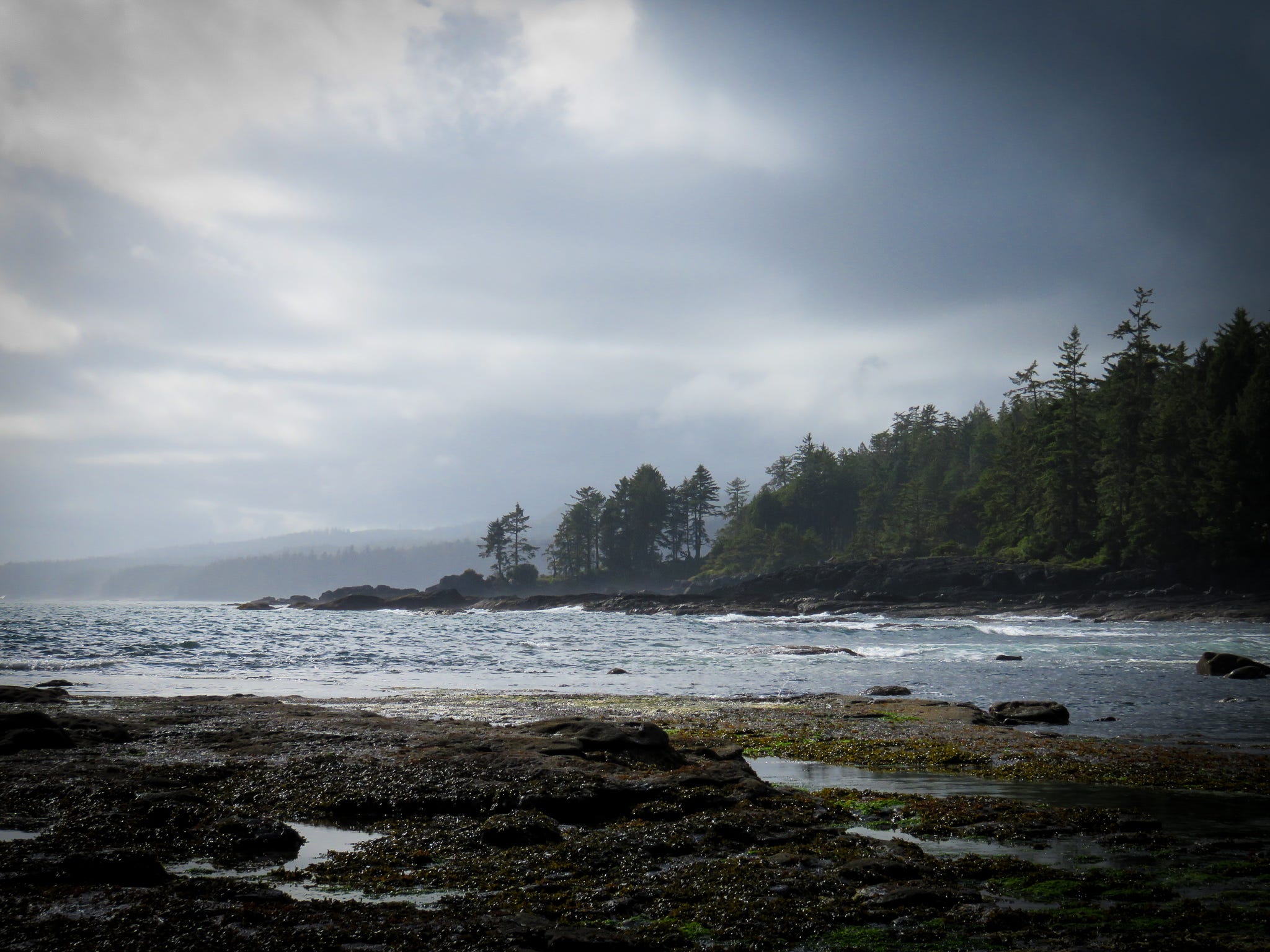 Ebb and Flow, Wax and Wane by Renée Layberry