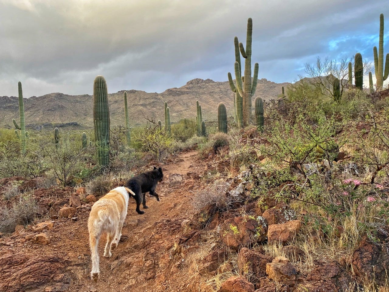 The Ghost of Jim Harrison Led Us to Patagonia