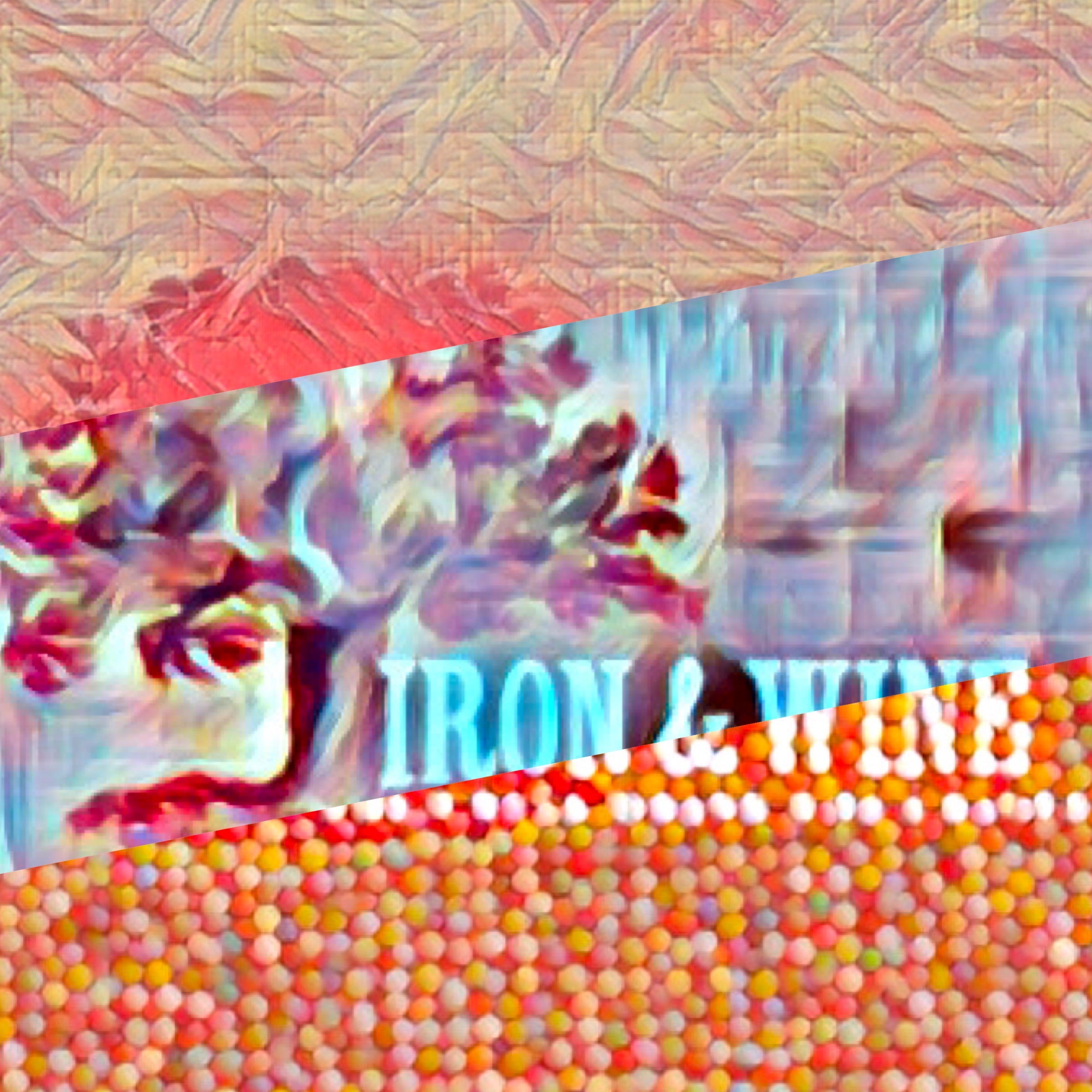The Creek Drank the Cradle by Iron and Wine