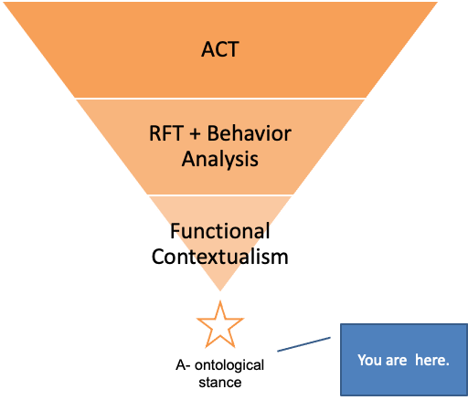 Why Functional Contextualism? - by Joanne Steinwachs