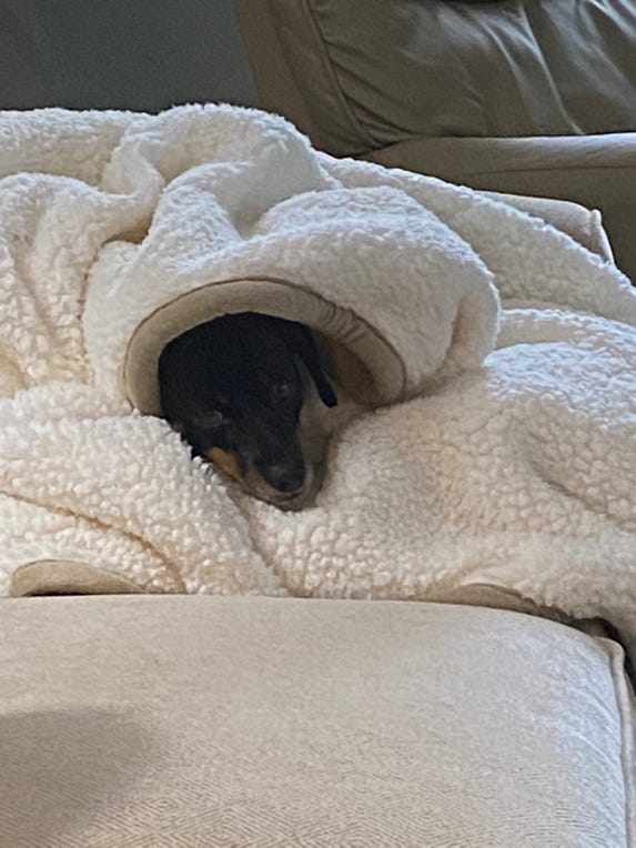 Tourance Luxurious Surroundings The Ultimate Throw Blanket