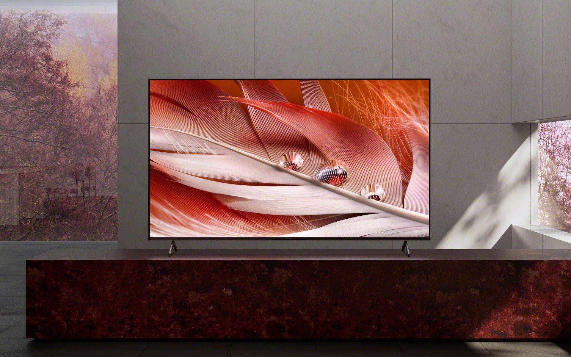 Sony tv 2021 hdmi 2.1 2025