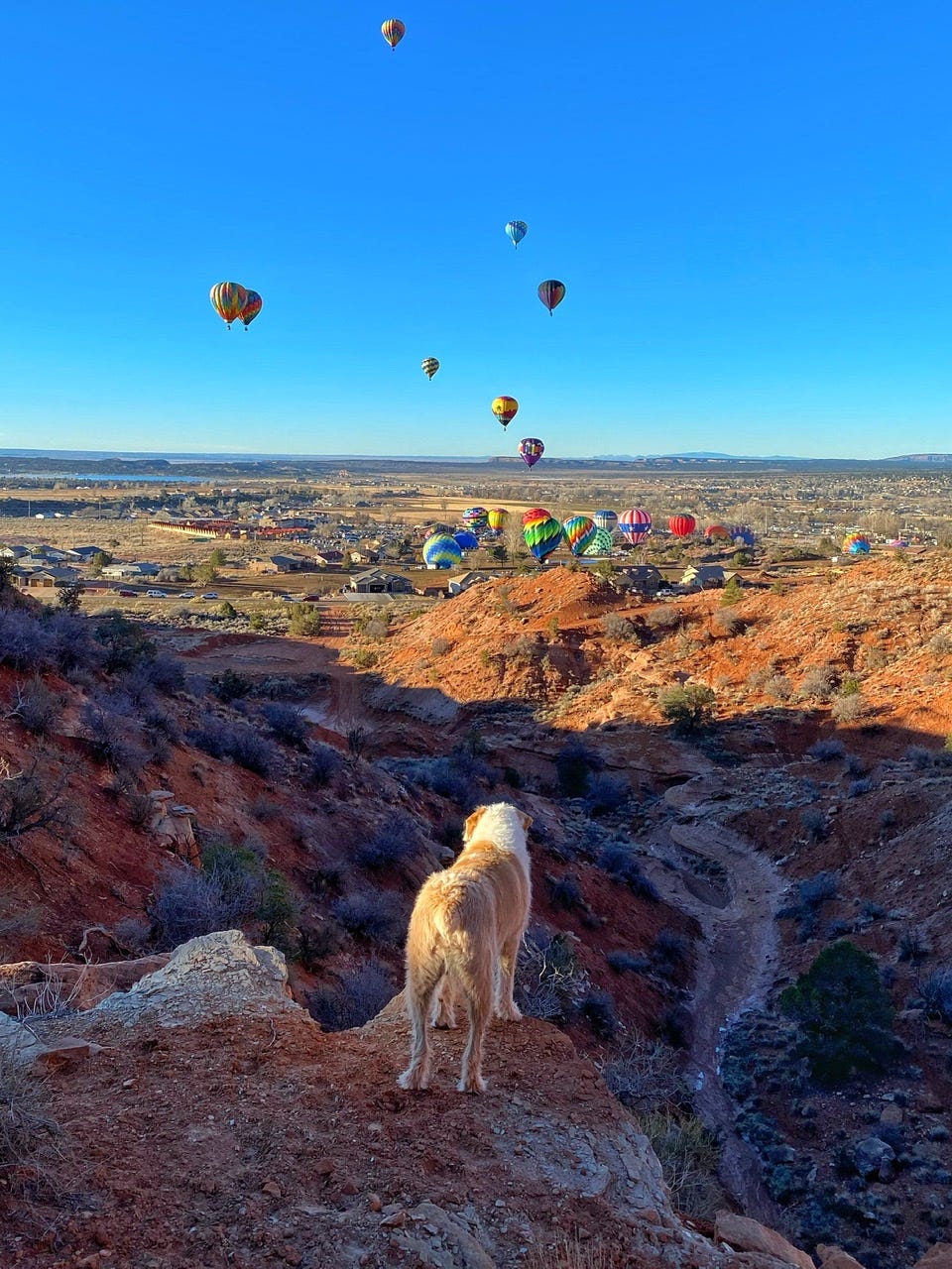 Postcards from the Road The Kanab Hot Air Balloon Festival