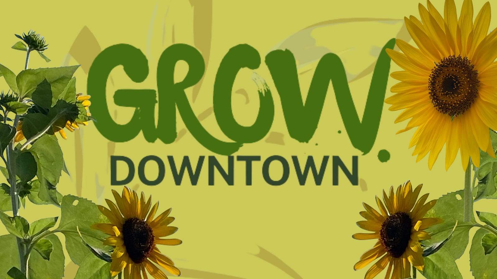 Welcome Let s Get Growing Grow Downtown s Newsletter welcome-let-s-get-growing-grow-downtown-s-newsletter