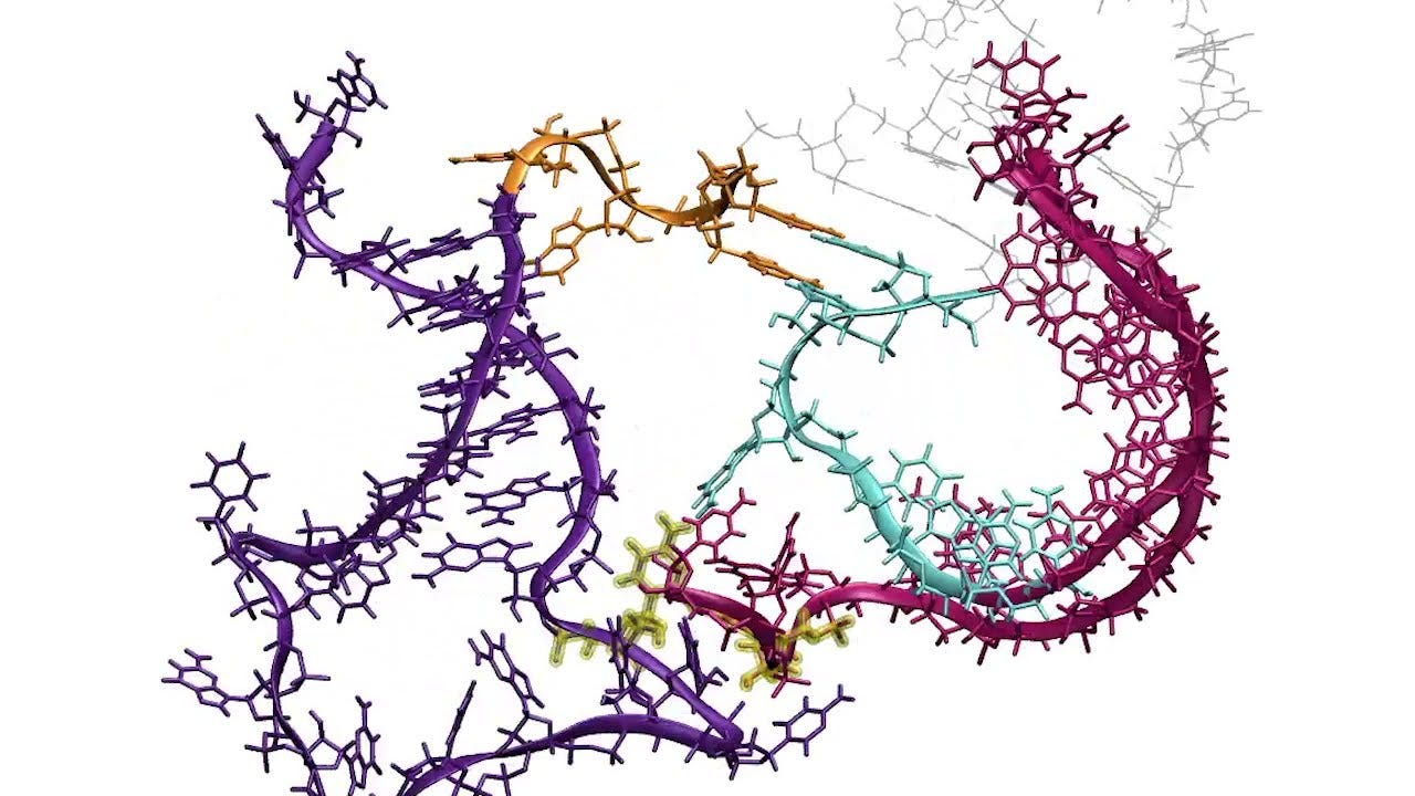 mRNA Folding Mechanisms and Approaches at the Secondary Structure Level