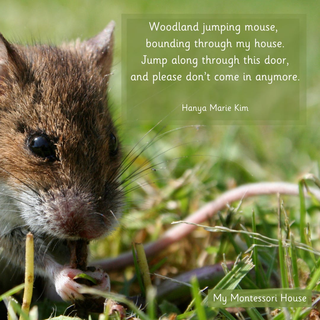 Woodland jumping mouse by Mercy My Montessori House