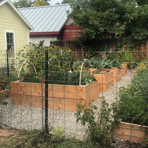 What Does a Garden Mean? by Charlotte Freeman