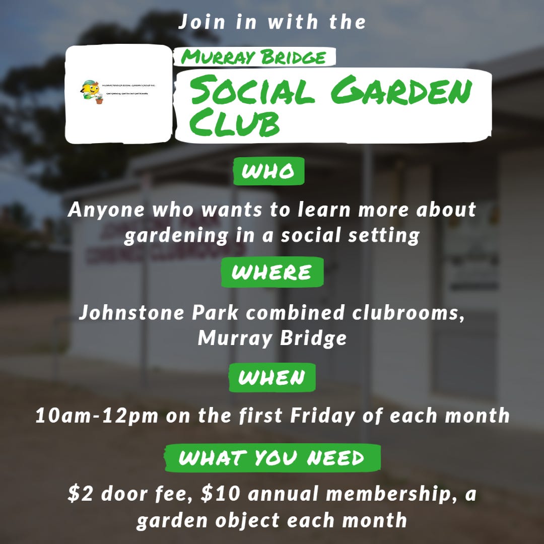 Join in with the Murray Bridge Social Garden Club