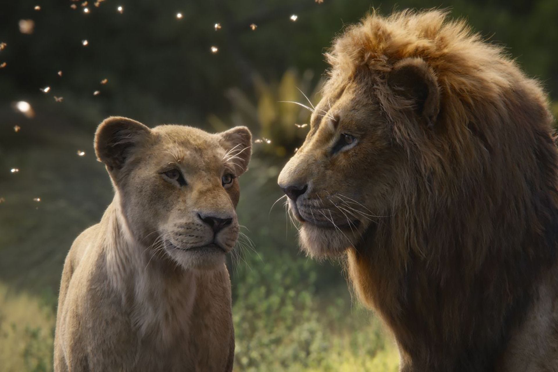 The lion king full movie unblocked 1994 on sale