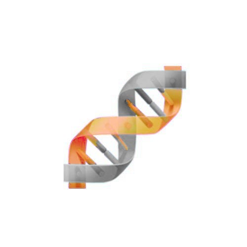 🧬 The DNA | Substack