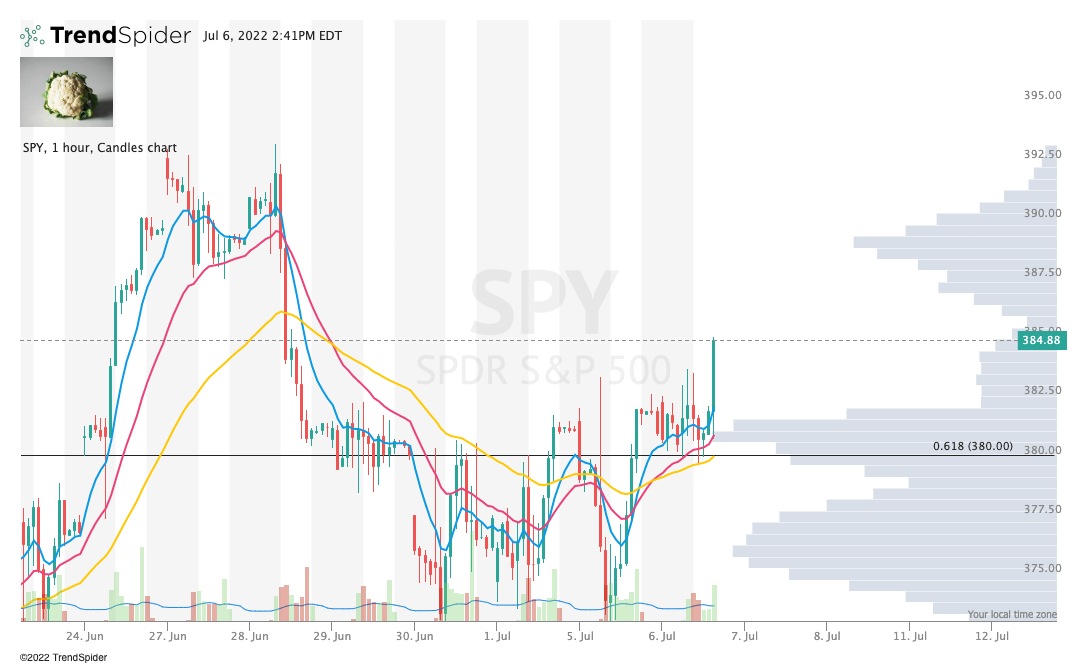 How I Use Volume Shelves Cauliflower Calls' Newsletter