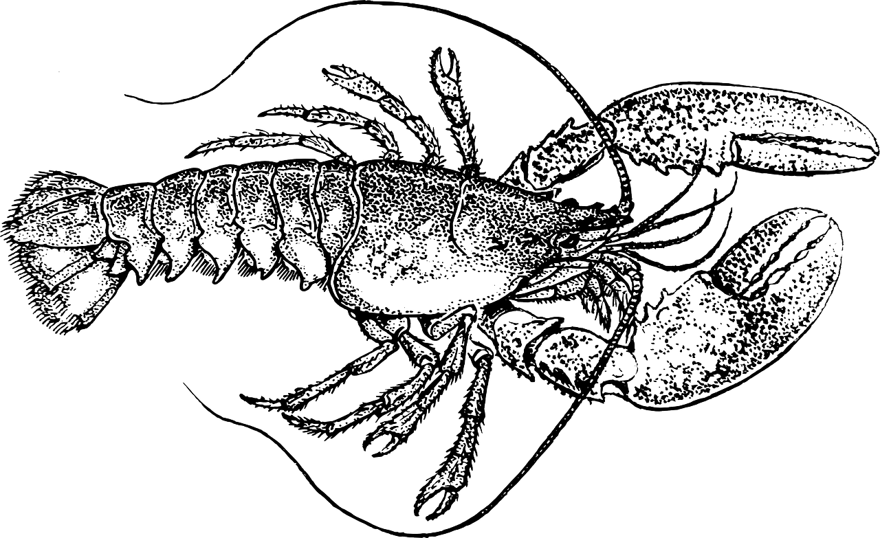 Pincer Movement by Greg Ashman Filling The Pail