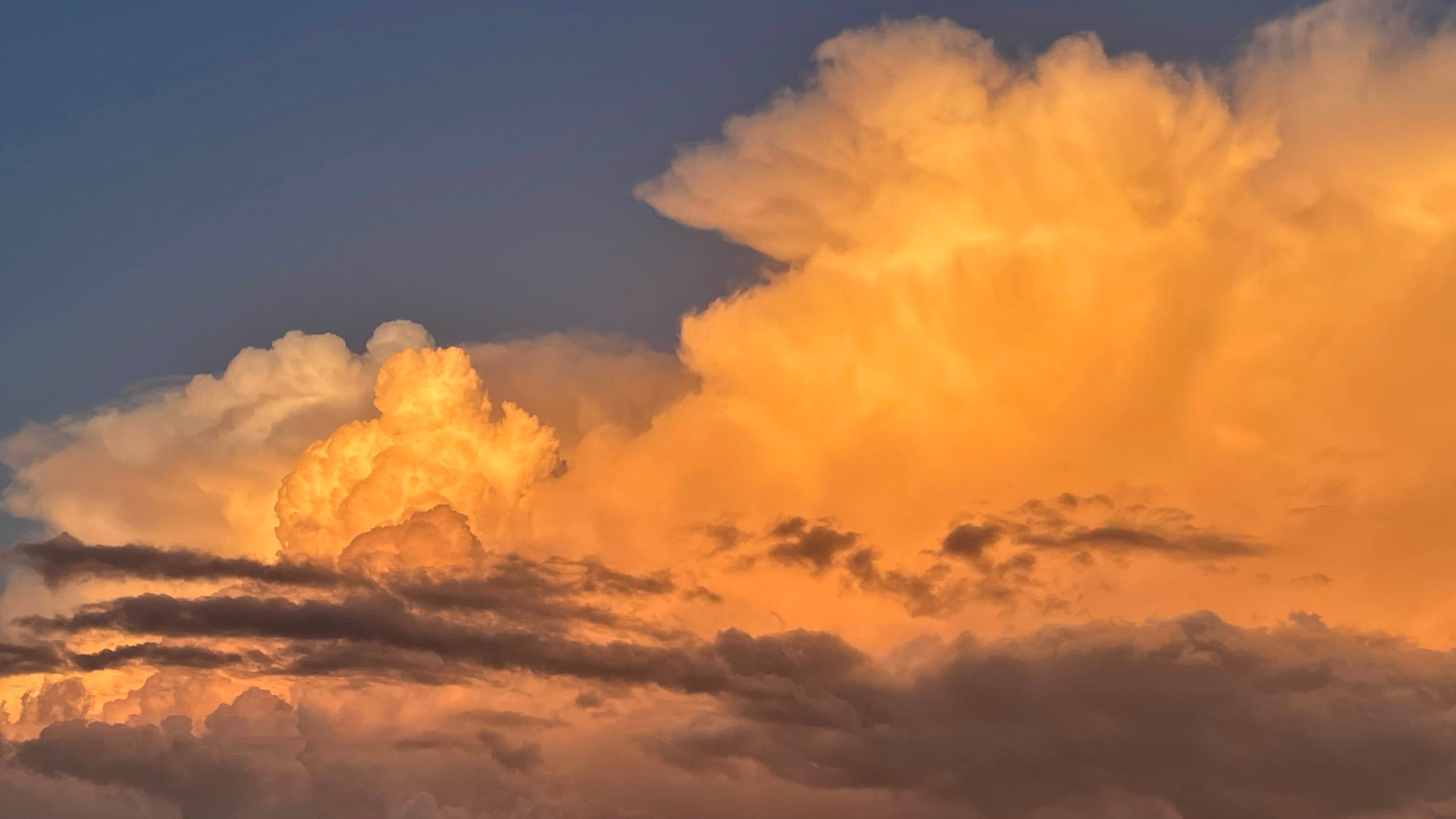 What Does Net Zero 2050 Actually Mean By Jock Gilchrist what-does-net-zero-2050-actually-mean-by-jock-gilchrist