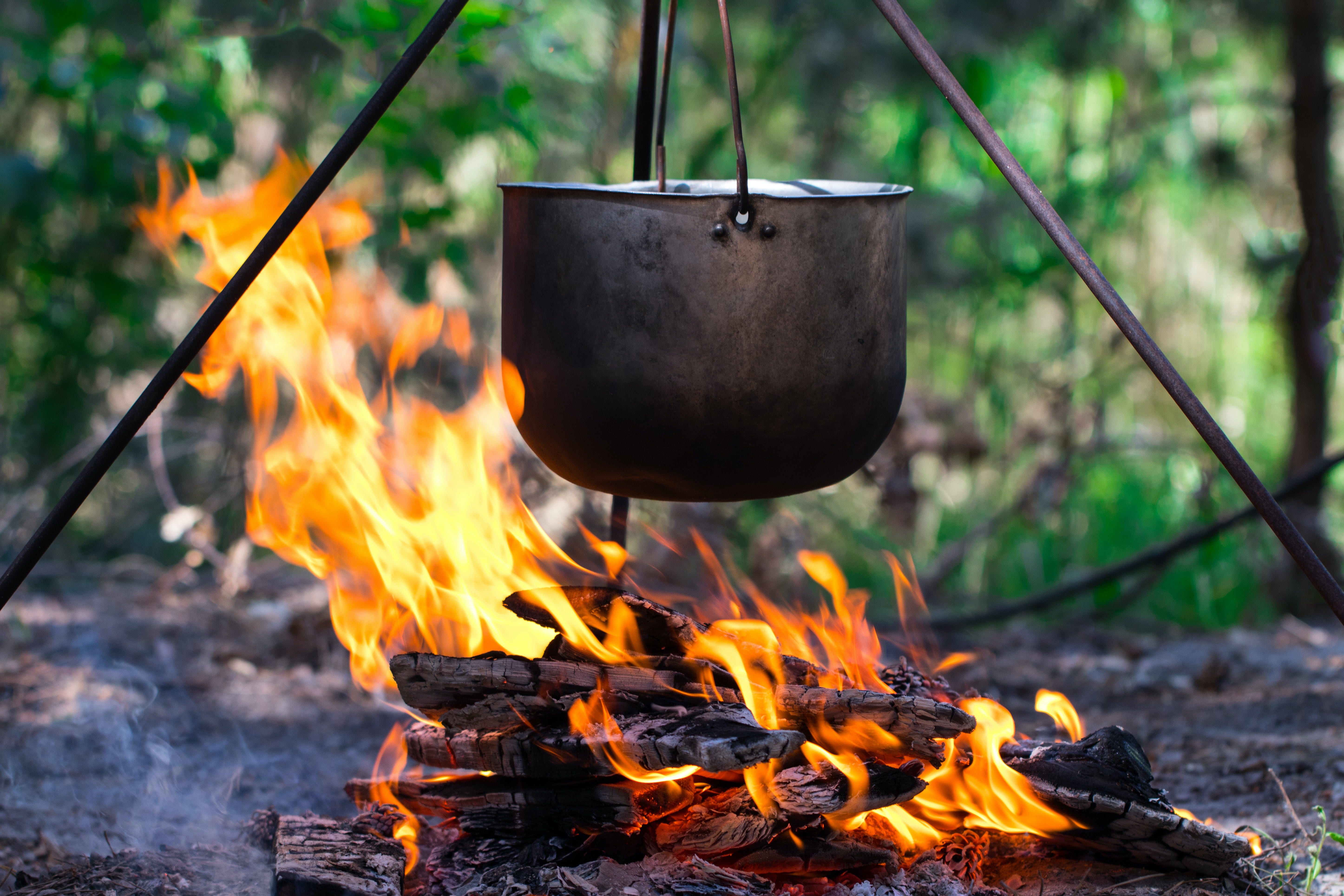 How to Boil Water Life School