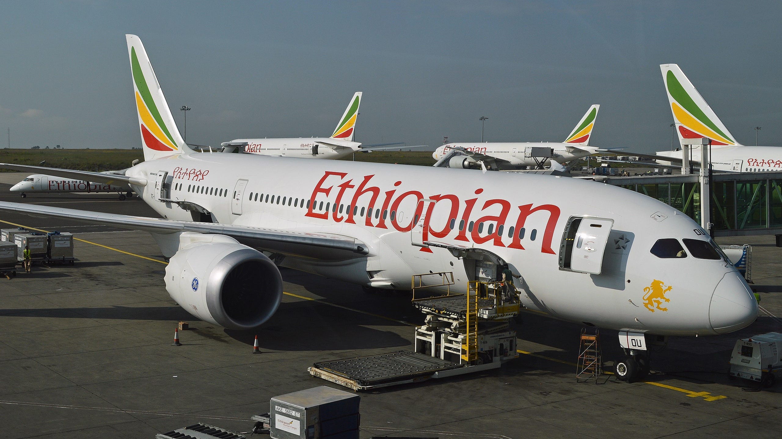 Ethiopian airlines baggage lost online