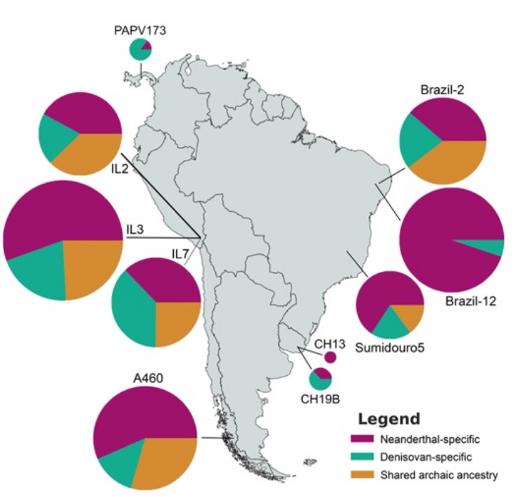 Ancient South Americans Have Neanderthal Denisovan DNA ancient-south-americans-have-neanderthal-denisovan-dna