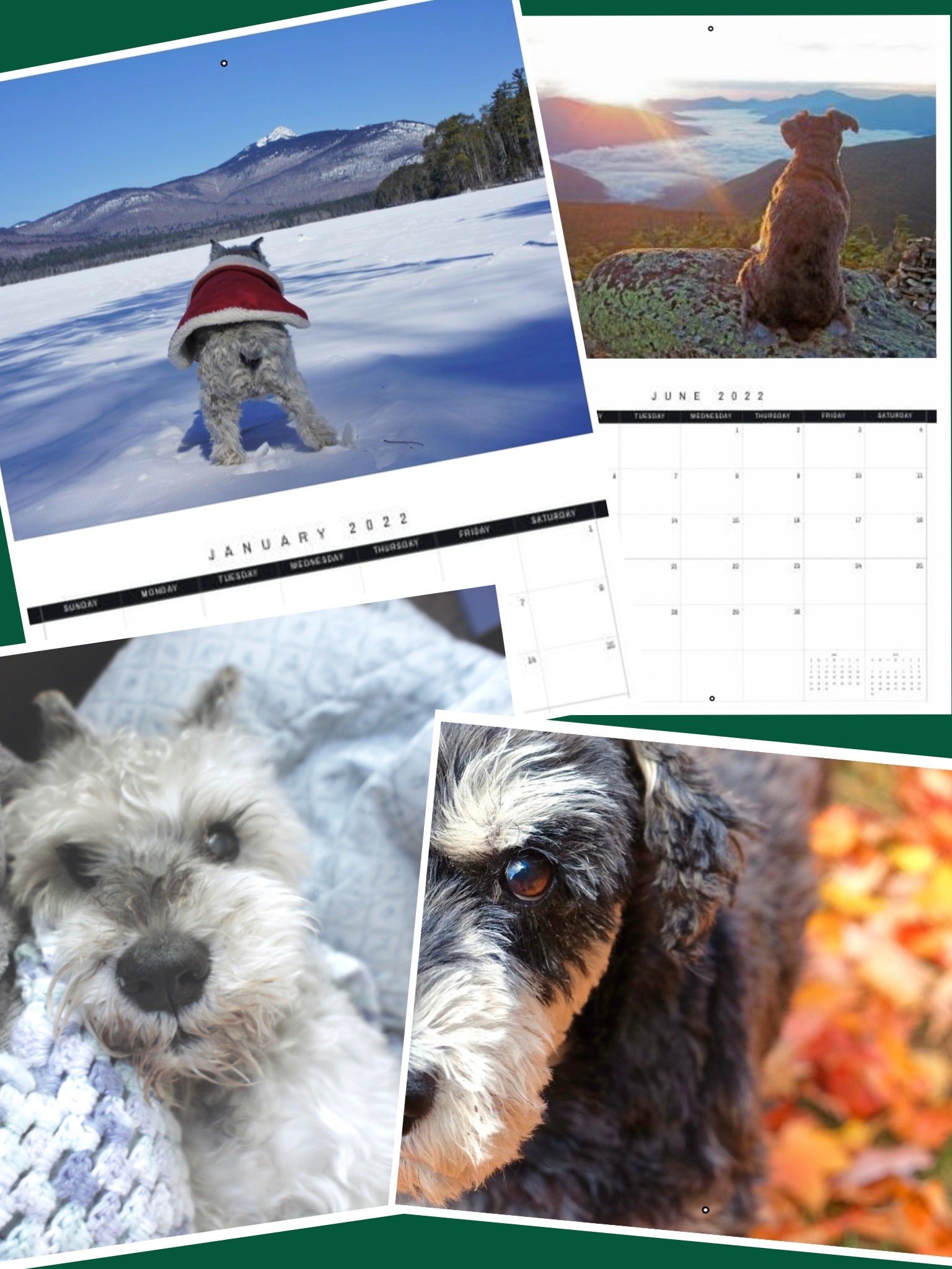 Atticus & Will 2022 Calendars Now Available