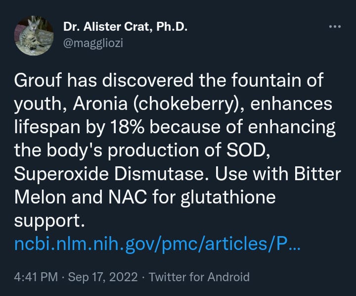 The Fountain of Youth Amazing Discovery