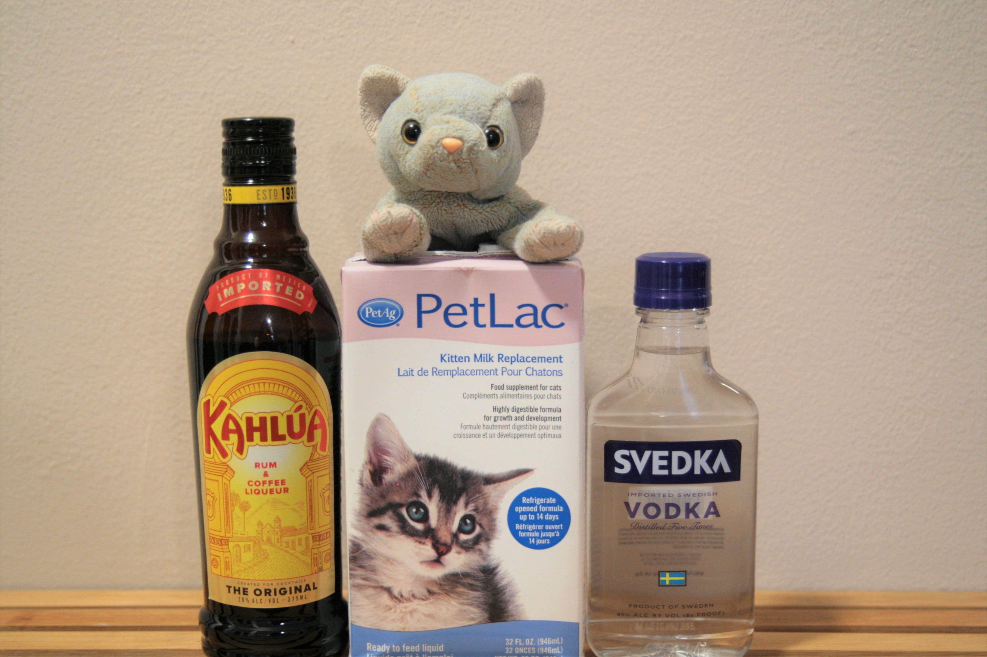 Bear brand milk for kitten top