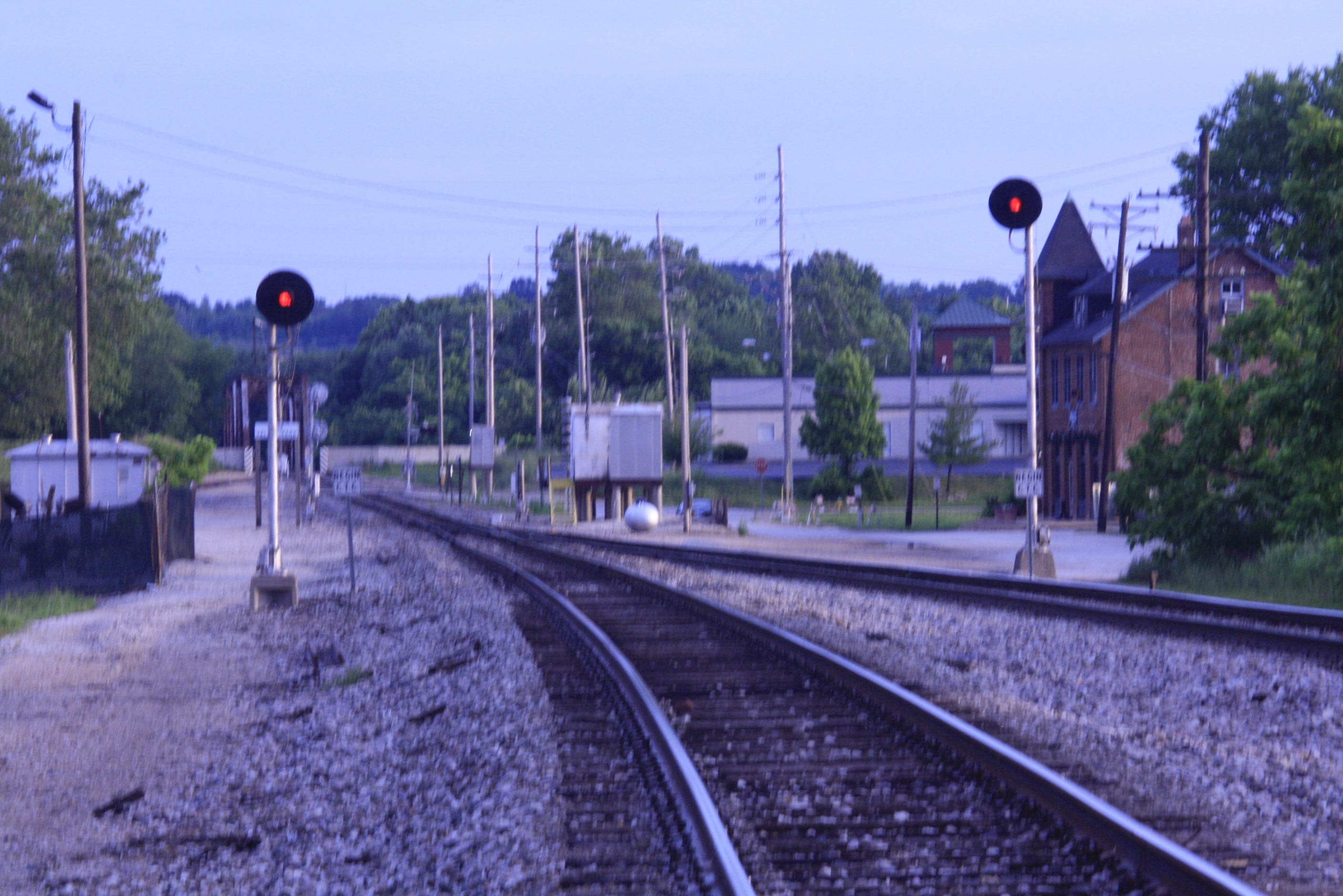 I met an Afghan whose cousin was killed by Taliban