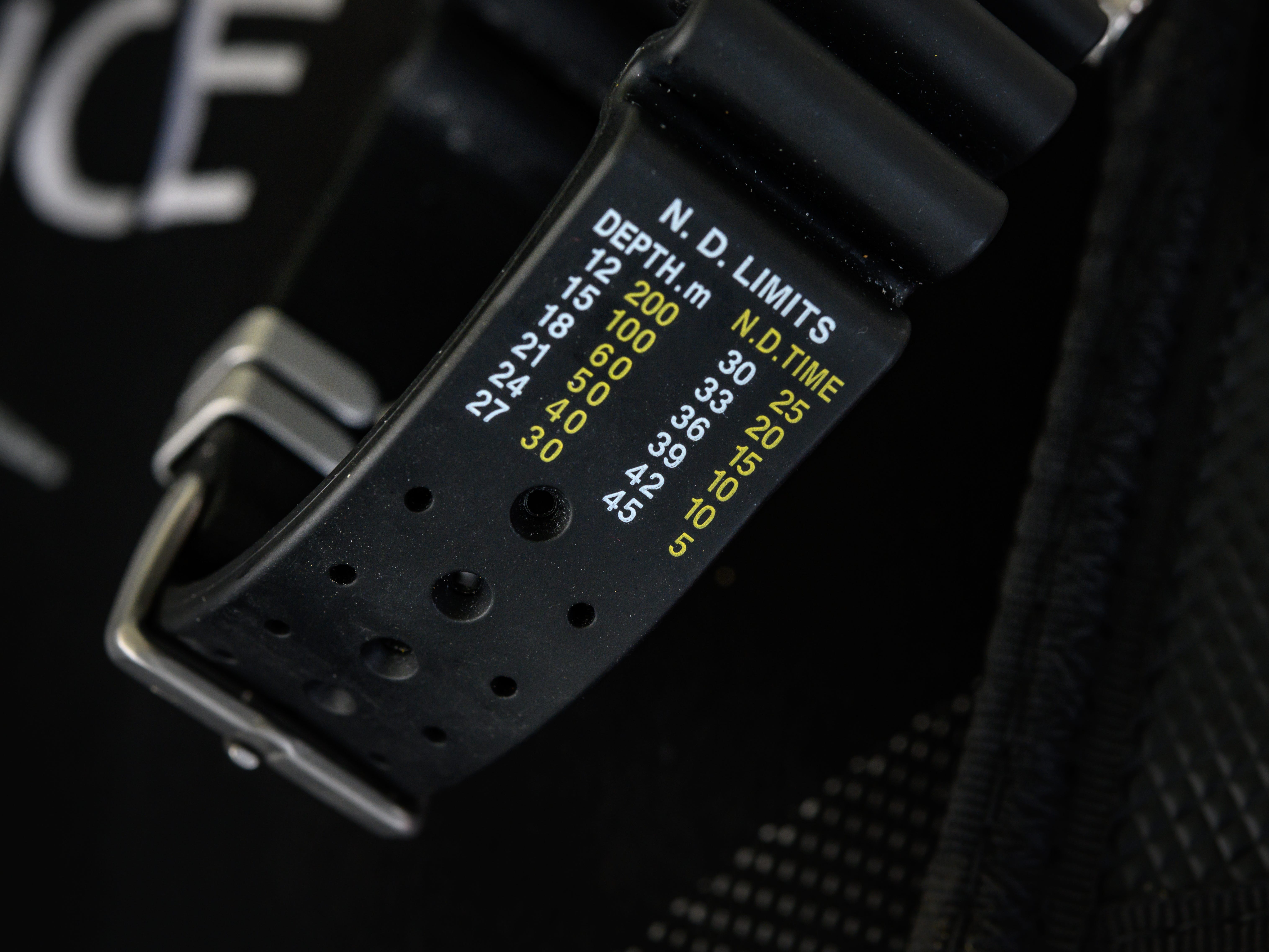 Citizen dive hotsell watch amazon
