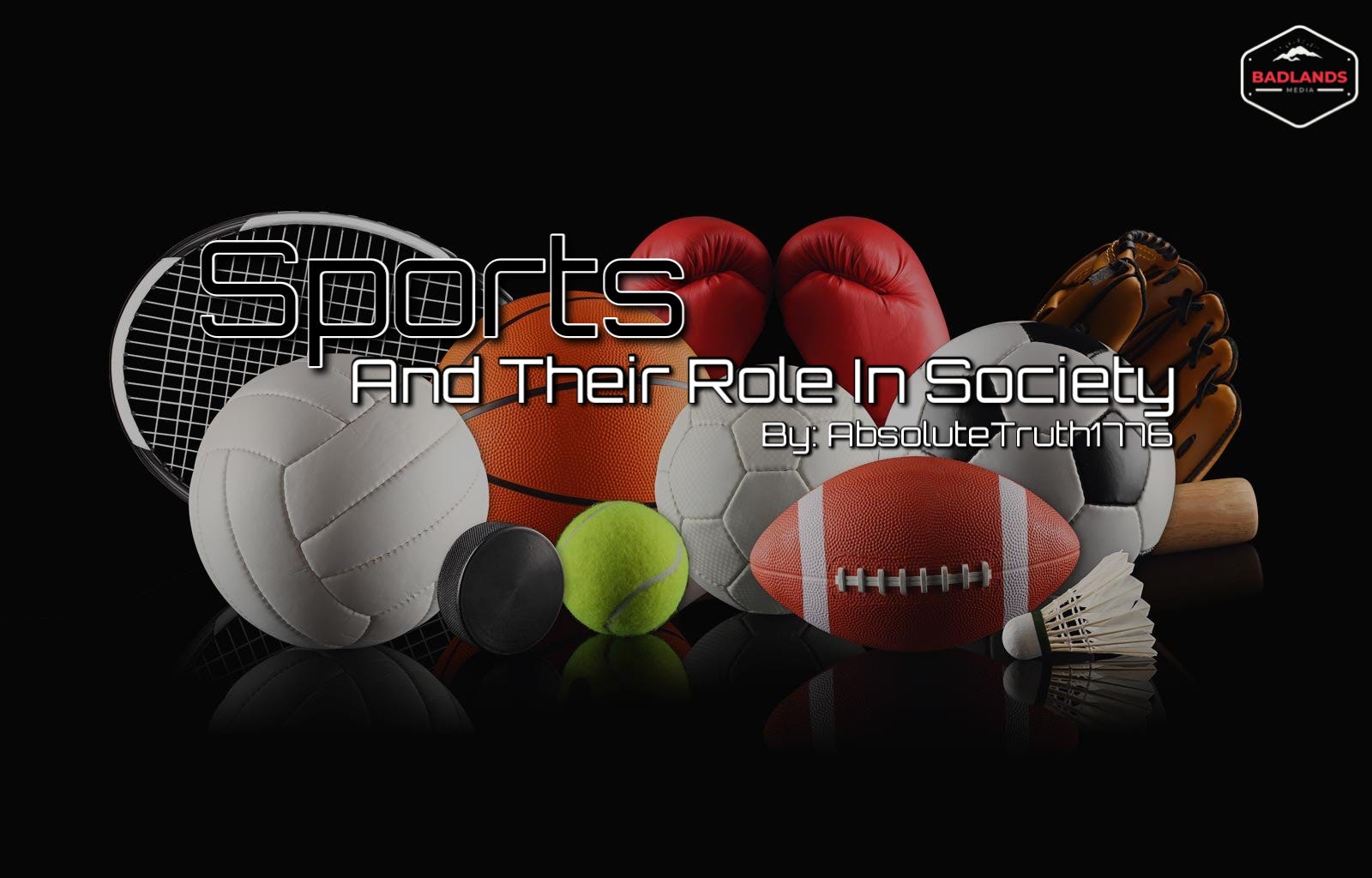 Sports in Society by Paul Fleuret Badlands Media