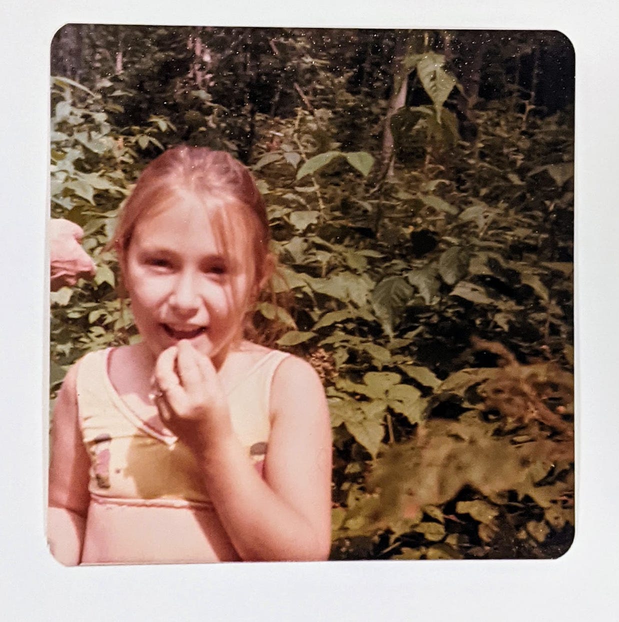 Berries, Petals and Leaves, Oh My! by Margret Hefner