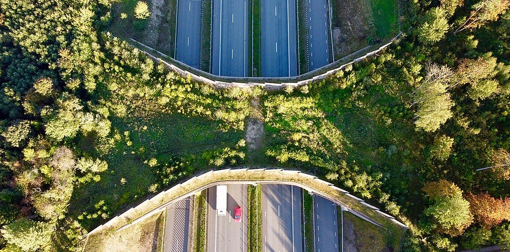 Solutions to habitat fragmentation - by Benedict Barclay