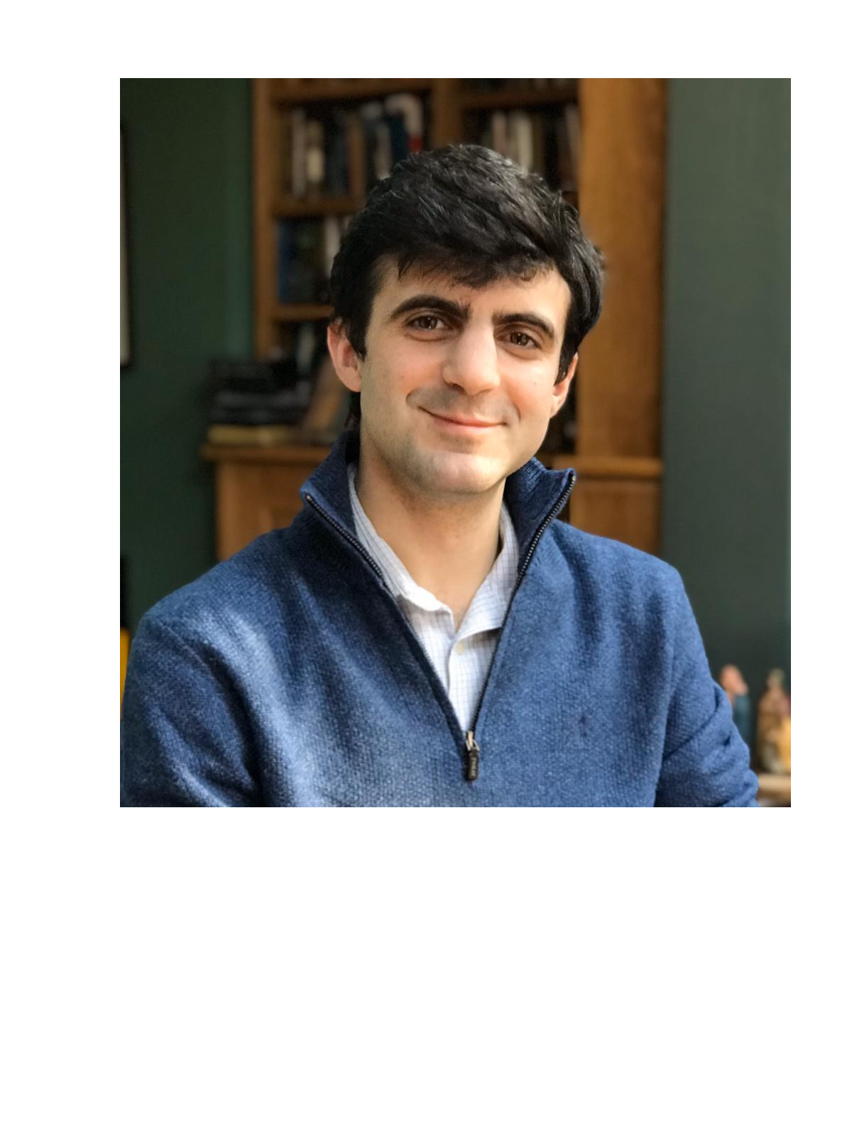 Dan Hitchens Substack