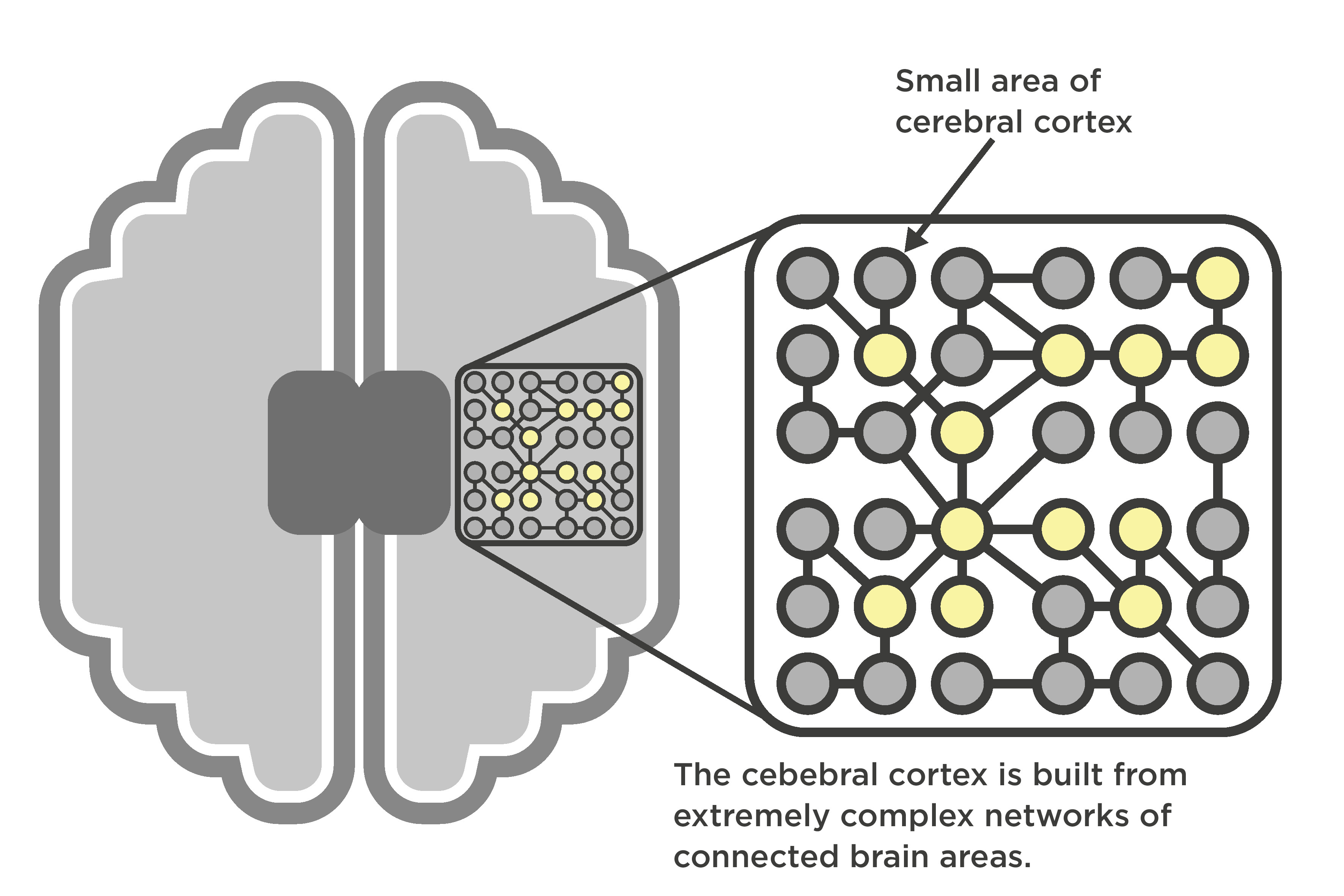 Brief Primers on the Neuroscience of Psychedelics 1 The Classics