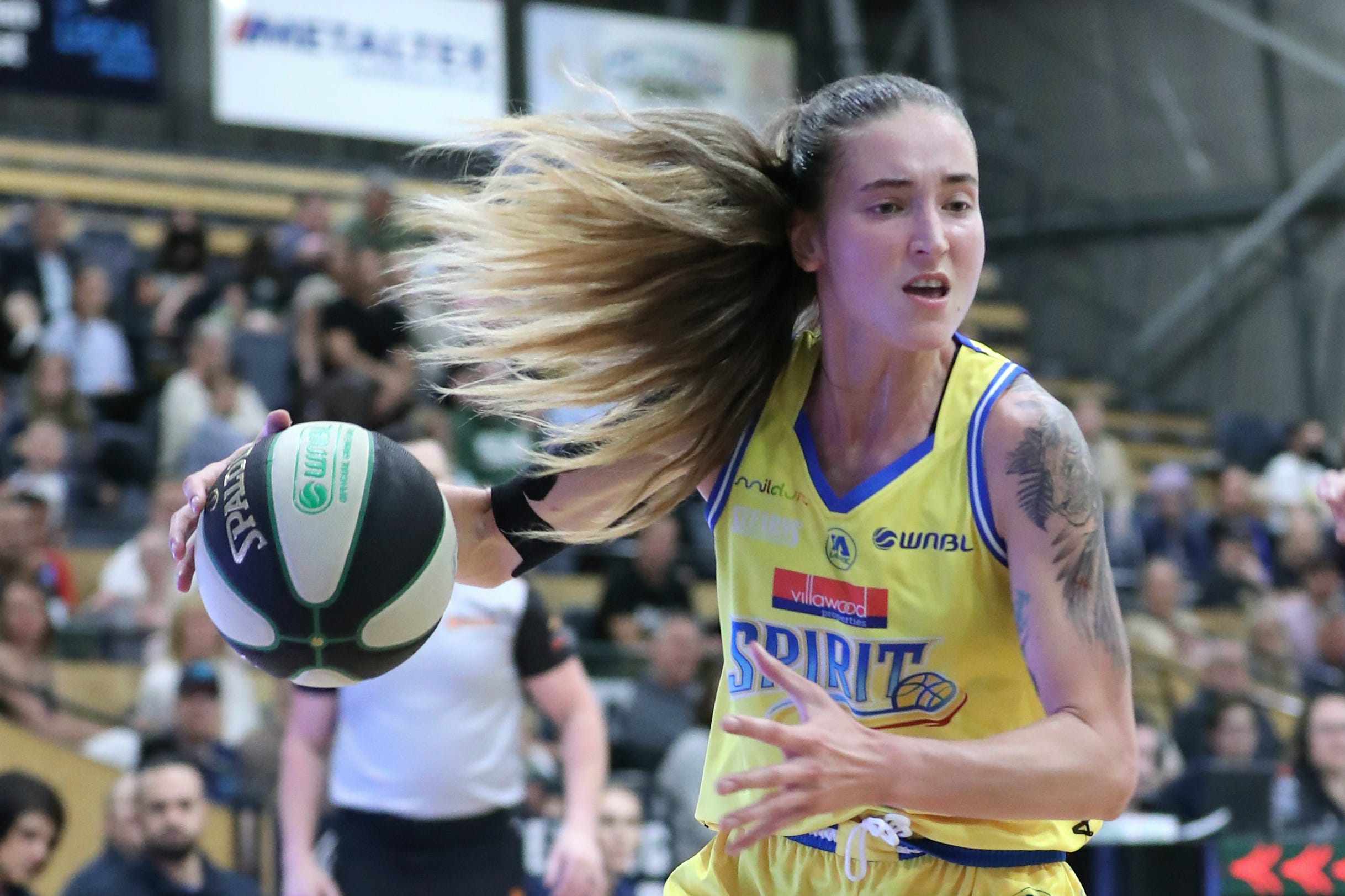 Anneli Maley and the art of rebounding - by Daniel Herborn