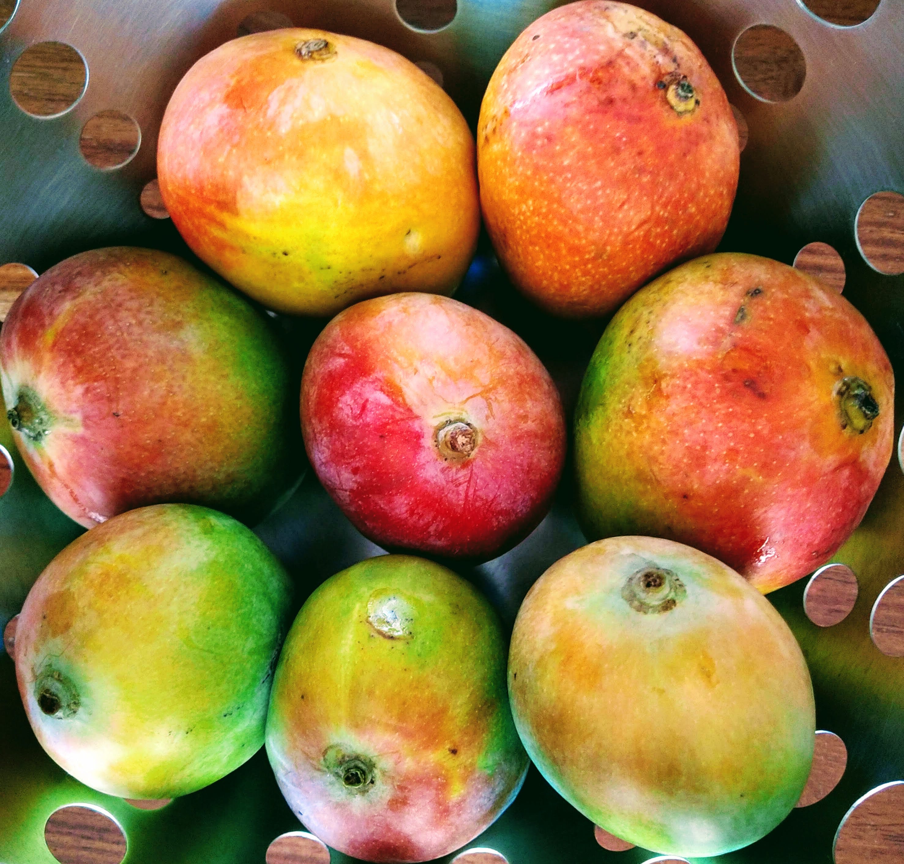 Mango journeys of the season by Giridhar Pai