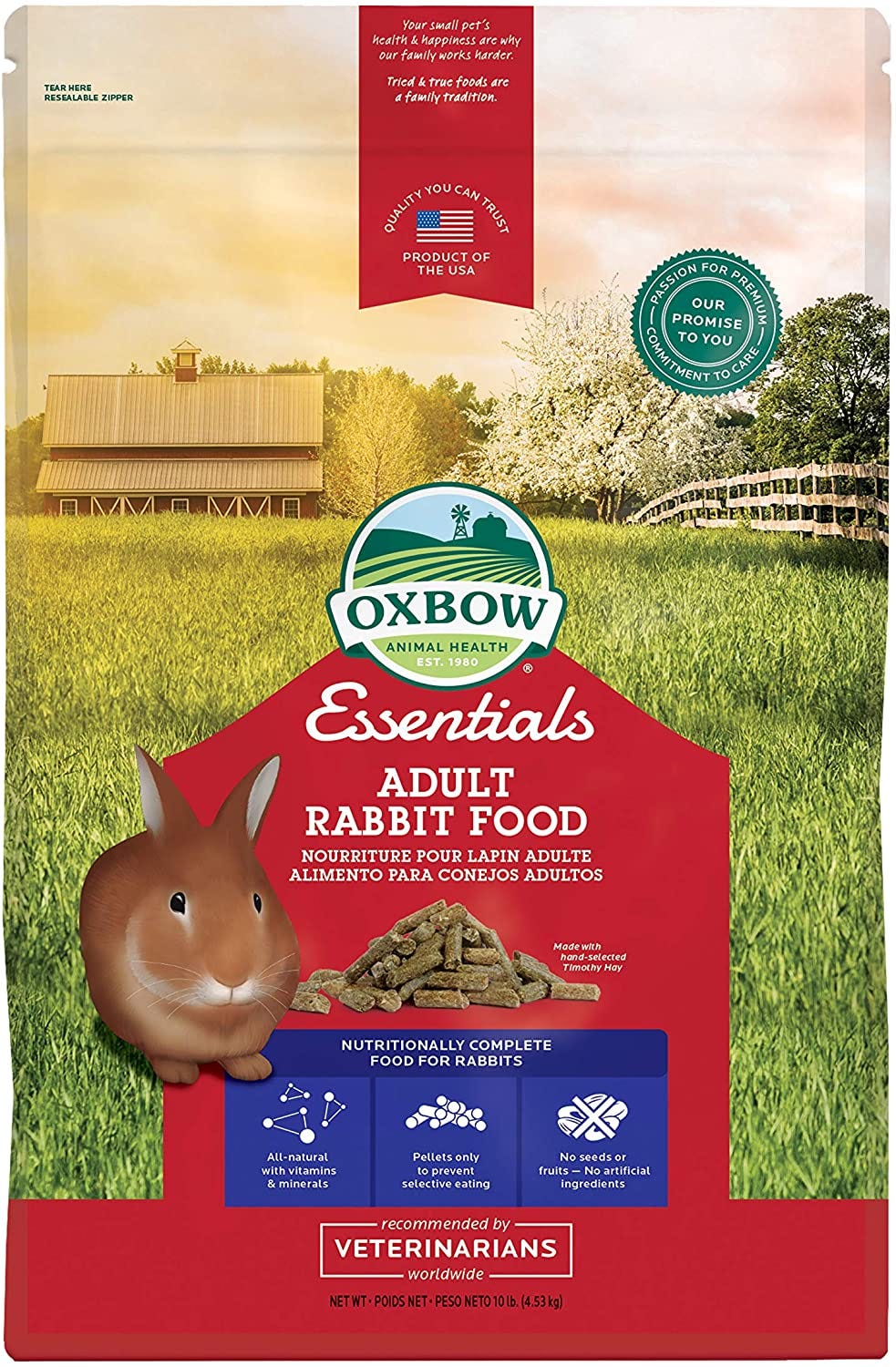 Rabbit Good Friend by Noah Smith Noahpinion