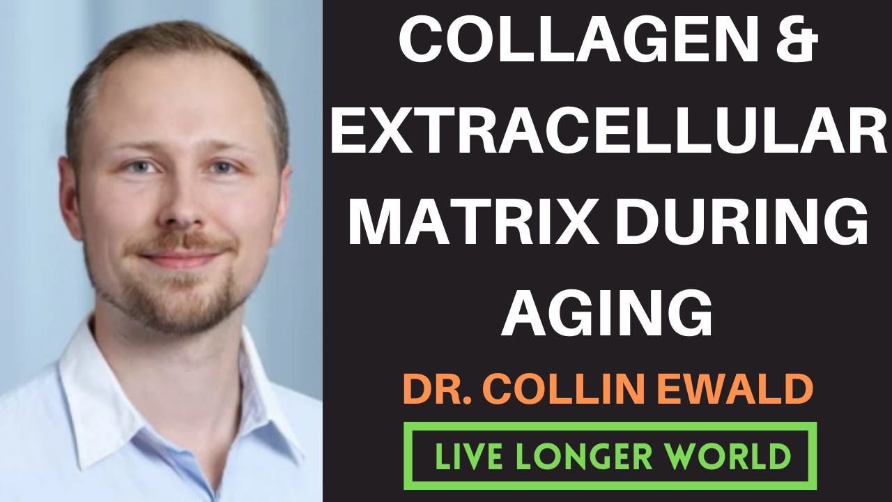 Collagen Protein & the ExtraCellular Matrix During Aging Dr. Collin Ewald