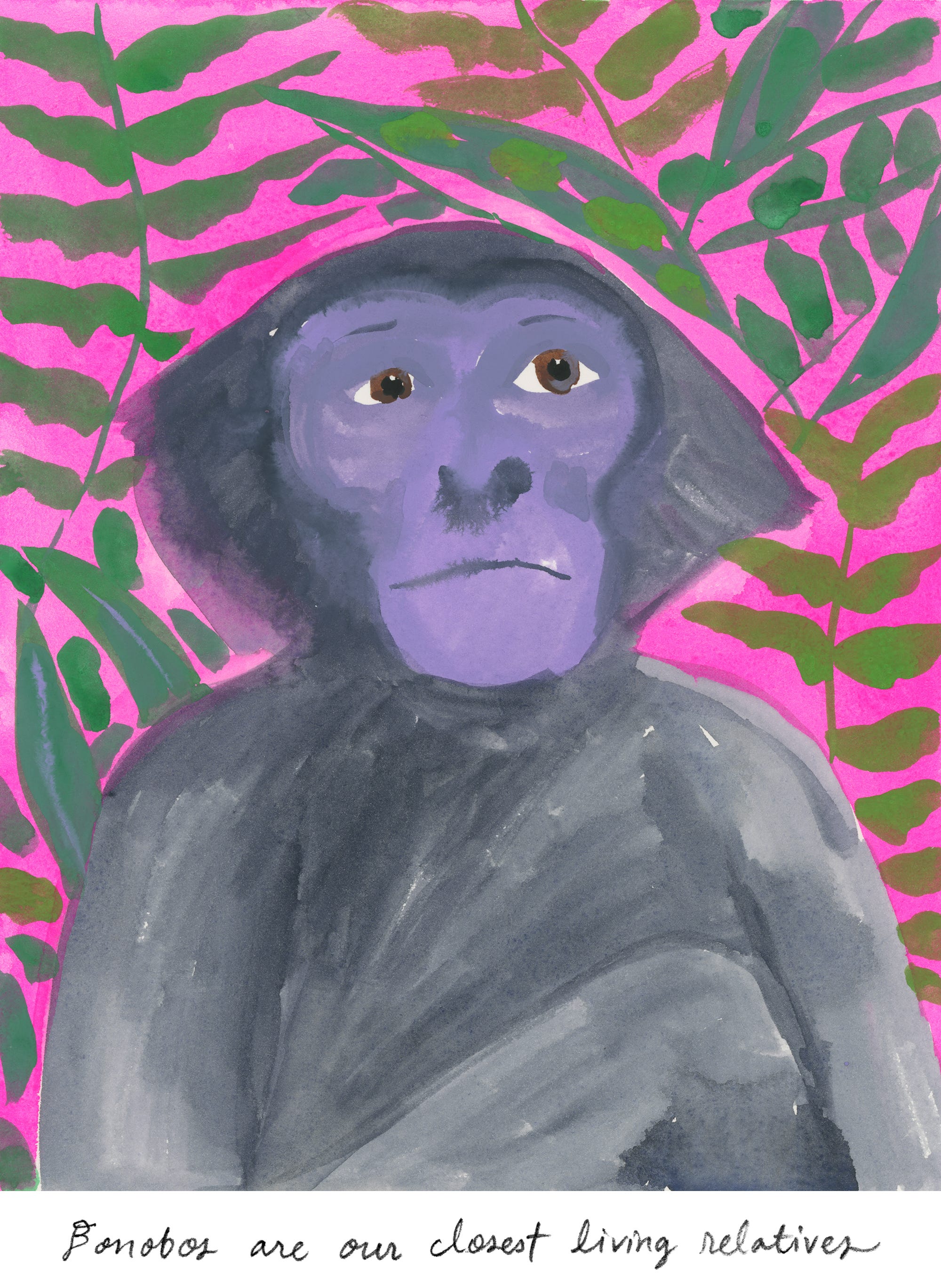 Wild Life Bonobo Day by Amy Jean Porter Wild Life