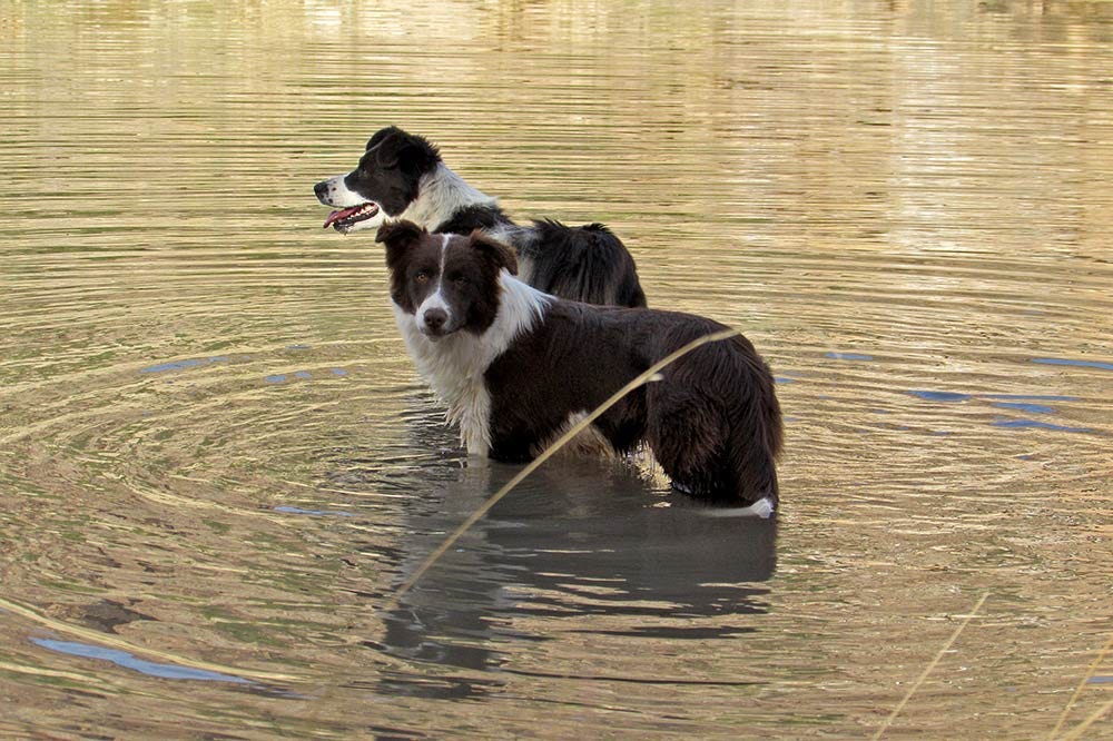 Highway Adventures - by Jessica Rath