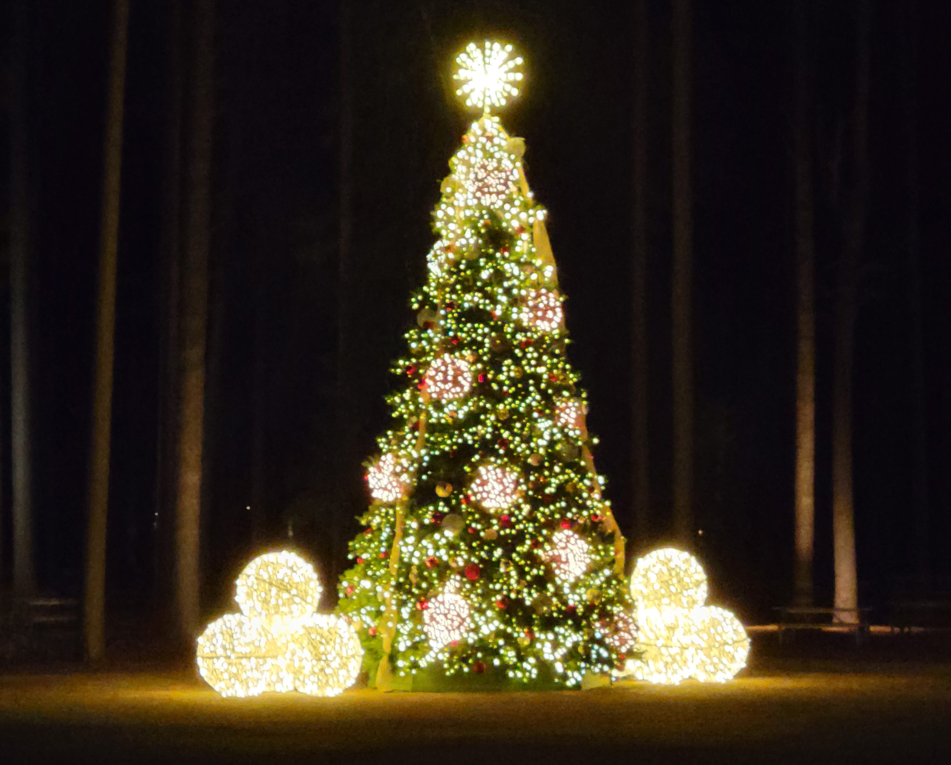 December Update By Abby Olcese No More Popcorn december-update-by-abby-olcese-no-more-popcorn