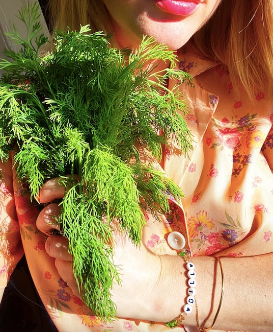 potato leek soup by Alison Roman a newsletter