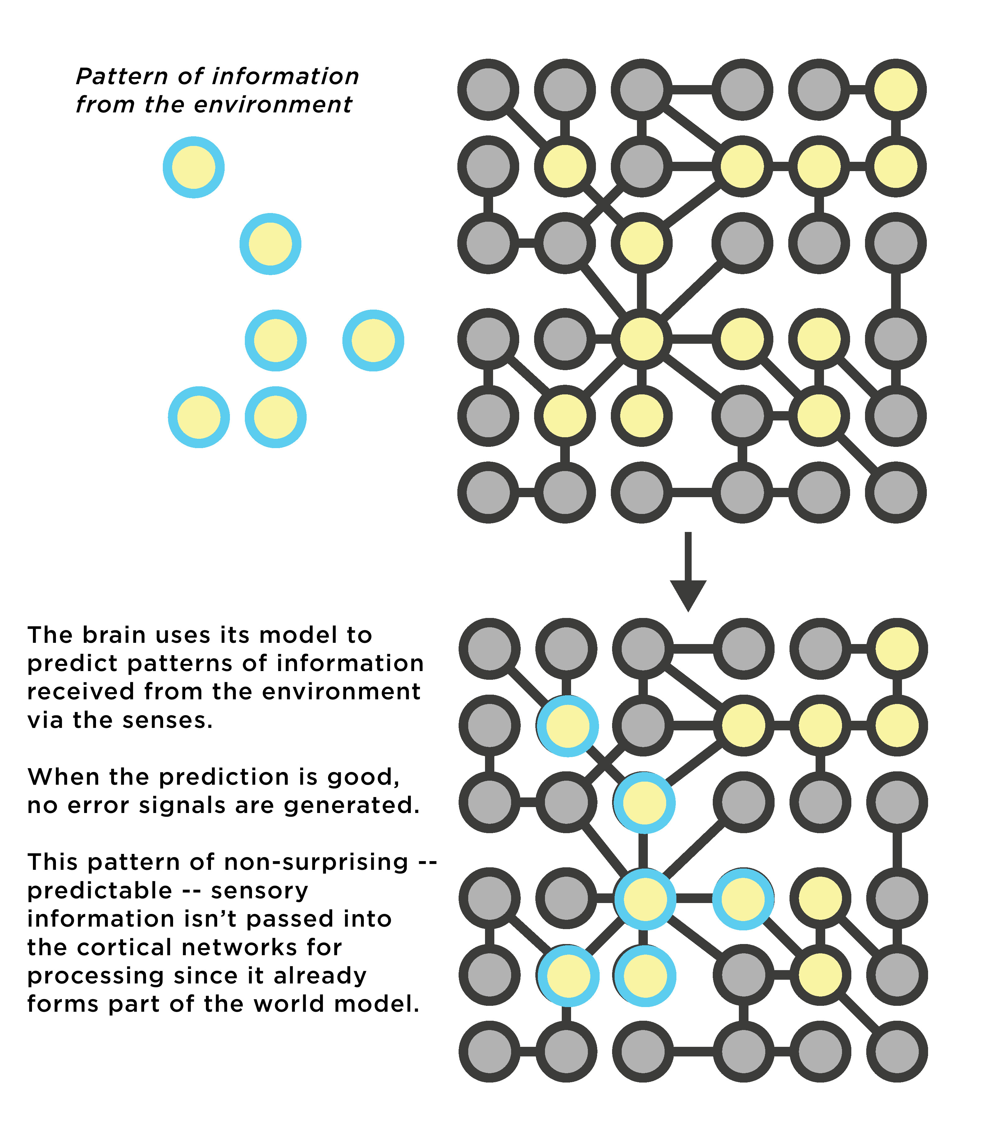 Brief Primers on the Neuroscience of Psychedelics 1 The Classics