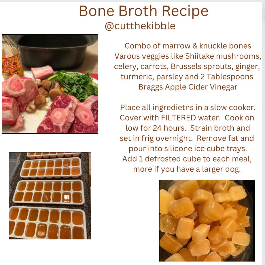 Home made Bone Broth by Paula Bichon