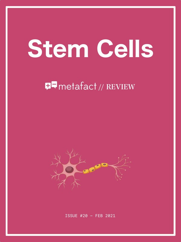 Can we grow stem cells into transplantable organs?