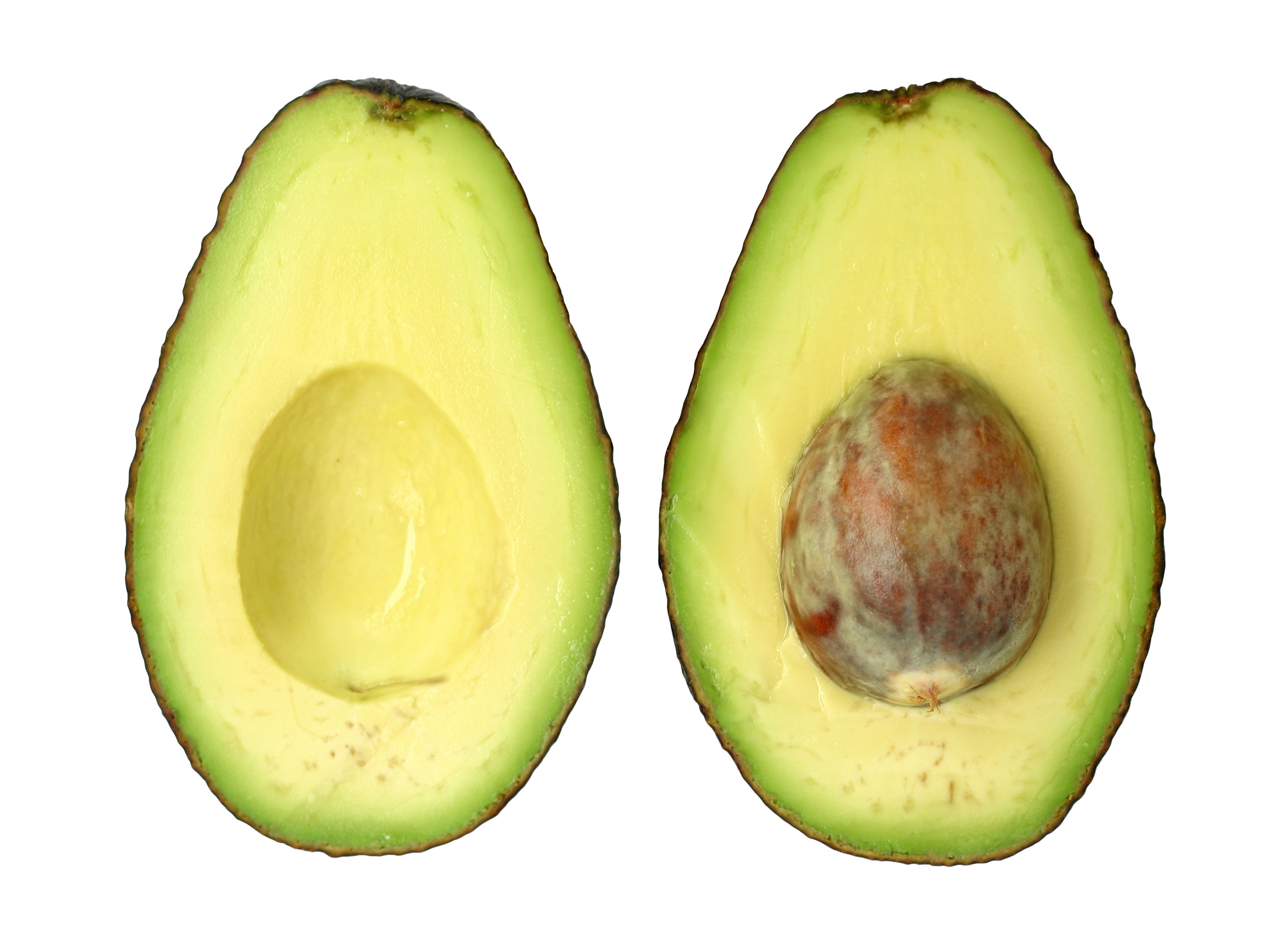 what-makes-a-food-healthy