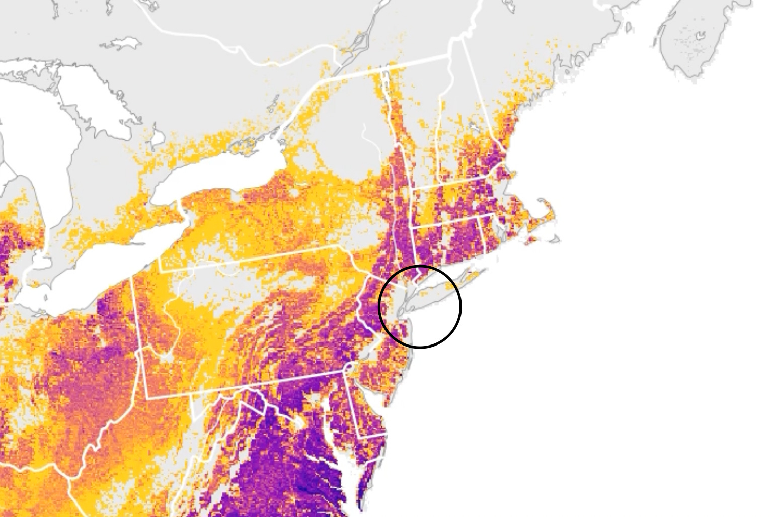new york's state bird hates nyc - by ryan mandelbirder