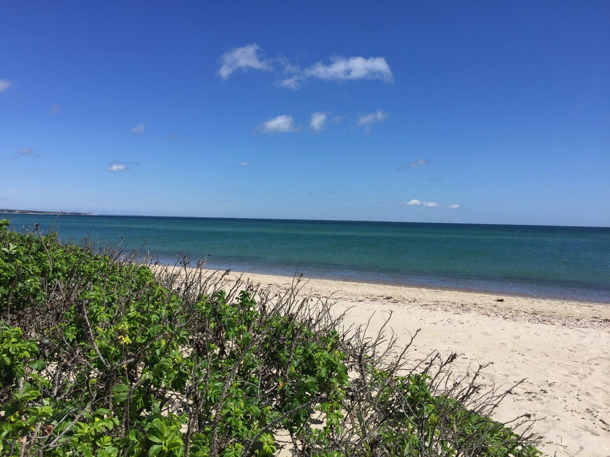 🌊 Which beach should I go to on Martha's Vineyard? (2022+2023)