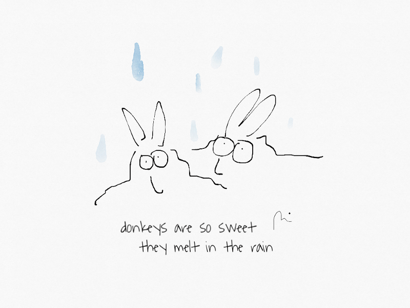 Donkeys are so sweet they melt in the rain!