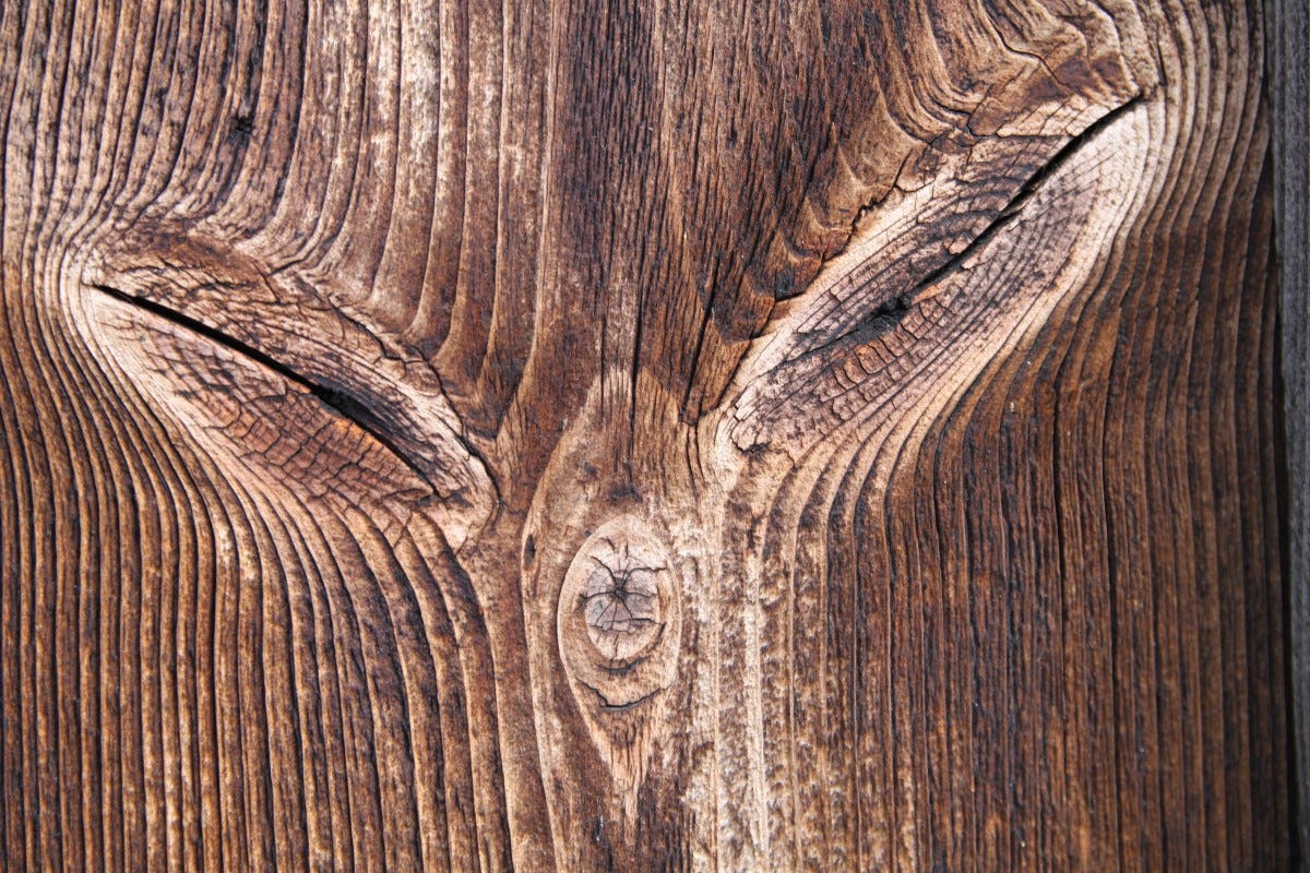 Tracing Woodgrains - Tracing Woodgrains