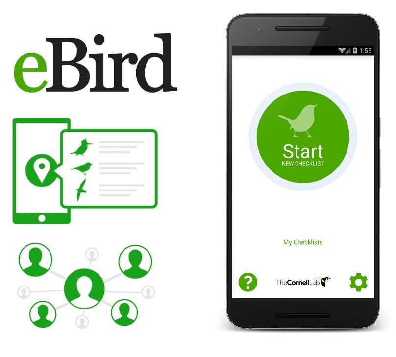 A few thoughts on using eBird (for people who #39 ve never used eBird)